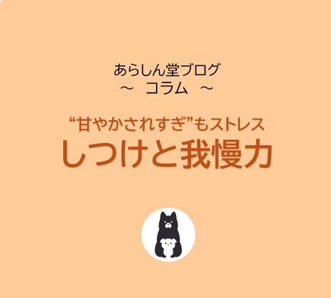 犬は“甘やかされすぎ”もストレス？｜しつけと我慢力の本当の関係を徹底解説