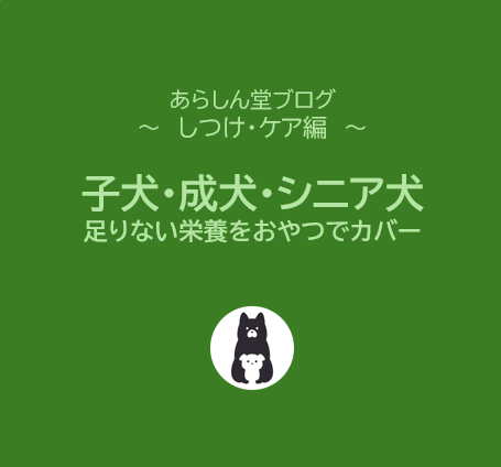 子犬・成犬・シニア犬にぴったりの補完食とは？フードで足りない栄養を“おやつ”でカバー！