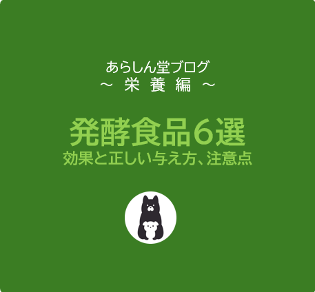 犬におすすめの発酵食品６選｜効果と正しい与え方・注意点まとめ