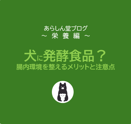 犬に発酵食品は有効？腸内環境を整えるメリットと注意点