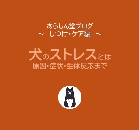 【保存版】犬にとってのストレスとは？原因・症状・生体反応まで徹底解説｜愛犬の健康を守るために
