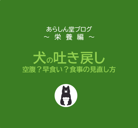 【保存版】犬の“吐き戻し”｜空腹？早食い？見直すべき食事のポイントとは