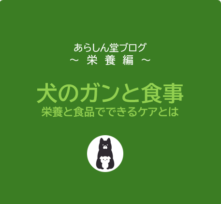 犬のガンと食事の関係｜栄養と食品でできるケアとは？