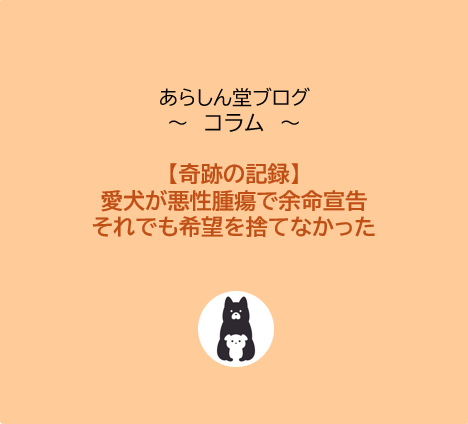 【奇跡の記録】愛犬が悪性腫瘍で余命宣告…それでも希望を捨てなかった飼い主と1匹の物語
