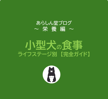 小型犬の食事完全ガイド｜子犬・成犬・シニア犬のライフステージ別に最適な栄養とフードの選び方