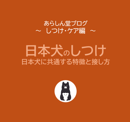 【完全ガイド】日本犬のしつけ方｜柴犬・秋田犬・甲斐犬に共通する特徴と接し方のコツ
