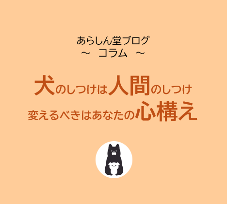 【驚きの真実】犬のしつけは“人間のしつけ”｜犬の行動を変えるのはあなたの心構え