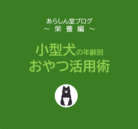 【小型犬の年齢別おやつ活用術】総合栄養食を補完する食材とリアルな飼い主エピソード