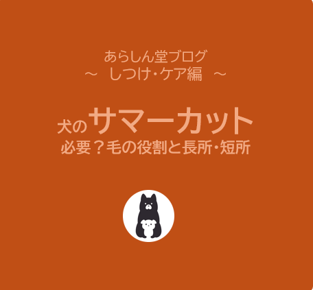 【要注意】犬のサマーカット、本当に必要？毛の役割とメリット・デメリットを徹底解説