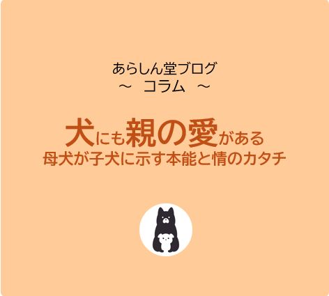犬にも「親の愛」がある｜母犬が子犬に示す本能と情のかたち