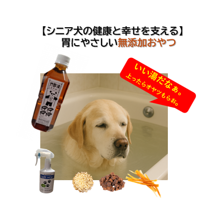 【シニア犬の健康と幸せを支える】無添加おやつ＆ナチュラルケア｜おすすめ5選