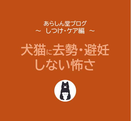【保存版】保護犬・猫に「去勢・避妊」が必要な本当の理由とは｜命を守るためにできること