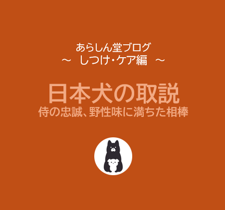 日本犬のトリセツ｜侍のような忠義心と野性味に満ちた相棒たちへ