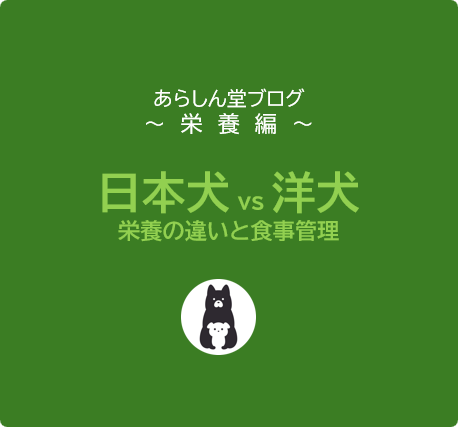 【保存版】日本犬と洋犬の違いとは？栄養の特徴と食事管理のポイントを徹底解説