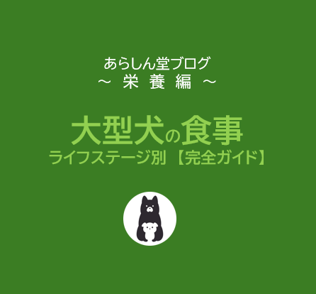 大型犬の食事完全ガイド｜子犬・成犬・シニア別に必要な栄養と最適フードを徹底解説