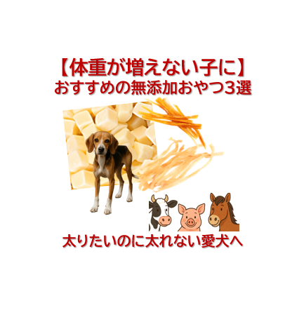 【体重が増えない子に】太りたいのに太れない愛犬へ｜おすすめの無添加おやつ3選