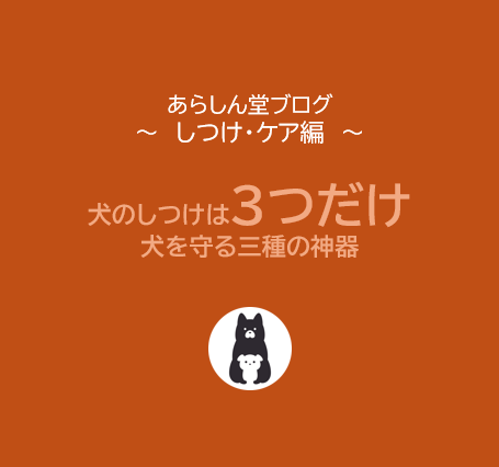 【初心者必見】犬に必要なしつけは“3つだけ”｜犬を守る三種の神器