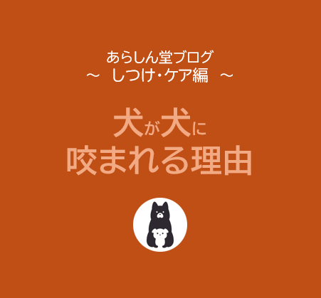 犬が犬に咬まれる理由とは？｜ドッグランでの咬傷事故から学ぶ“サインの見落とし”と接触トラブル回避術