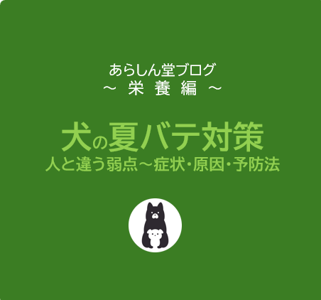 犬の夏バテ完全対策ガイド｜人とは違う弱点とは？症状・原因・予防法を徹底解説！