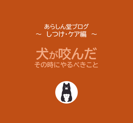 【保存版】犬に咬まれた／咬んでしまったときにすべきこと｜飼い主の責任と、正しい知識で守る命と信頼