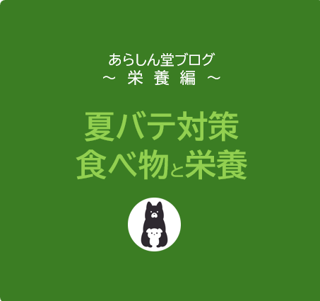 犬の夏バテ対策におすすめの食べ物と栄養｜暑さに負けない元気な体づくり