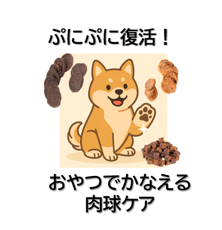 肉球に利くあらしん堂おやつ｜内側からぷにっと回復する、3つのごほうび