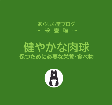 【保存版】犬の肉球がカサカサになる原因と対策｜健やかな肉球を保つために必要な栄養と食べ物