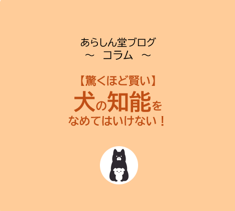 【驚くほど賢い】犬の知能をなめてはいけない！科学が解明した“犬は犬”を覆す真実