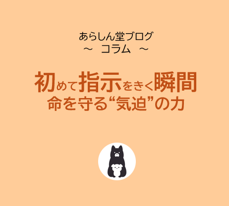犬が初めて「指示を聞いた瞬間」｜命を守るしつけの本質と“気迫”の力