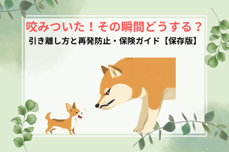 咬みついた！その瞬間どうする？引き離し方と再発防止・保険ガイド【保存版】