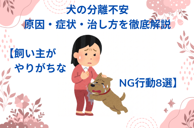 犬の分離不安|原因・症状・治し方を徹底解説【飼い主がやりがちなNG行動8選つき】