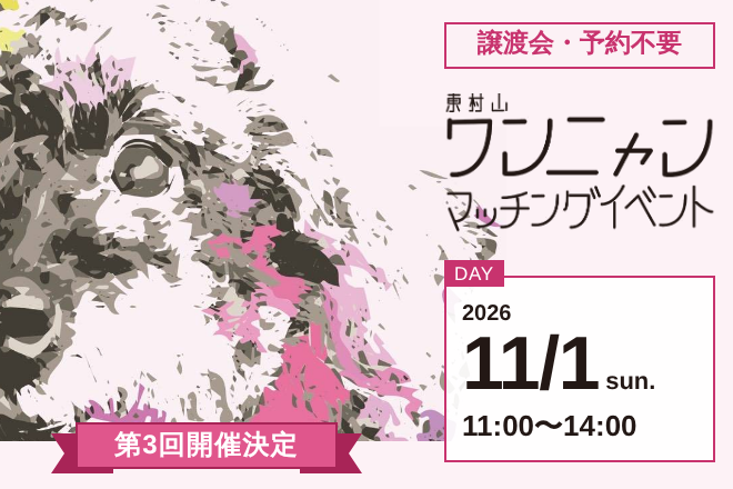 【2026年11月1日(日)】東村山で保護犬・猫の譲渡会|ワンニャンマッチングイベント第3回(予約不要・市役所)